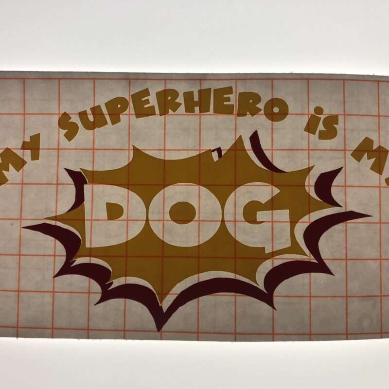 My Superhero Is My Dog
